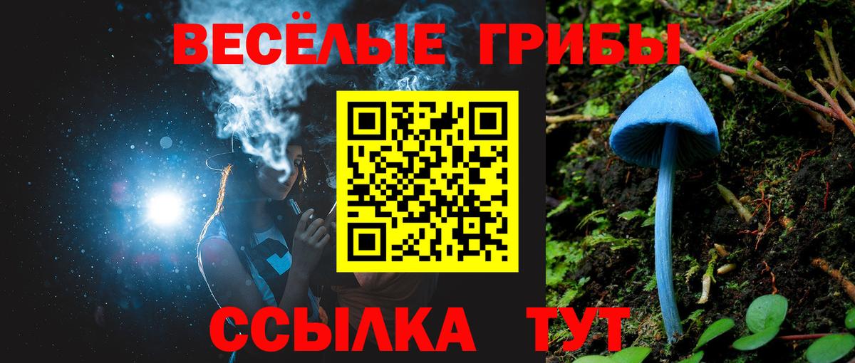 наркошоп  Вход с VPN  Псилоцибиновые грибы Psilocybe  Тимашёвск  Псилоцибиновые грибы мицелий 